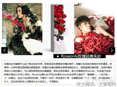 小时代优美的句子