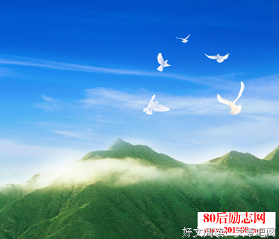 枕风集经典的句子