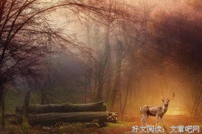 最全的《心有魔障》小说句子大全