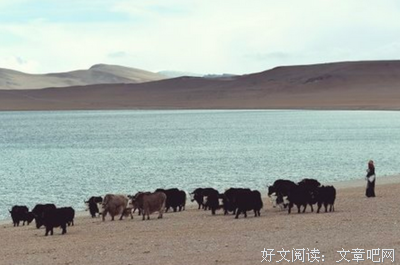 简单句子大全