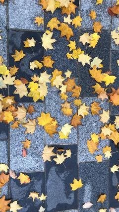 深情不改经典的句子