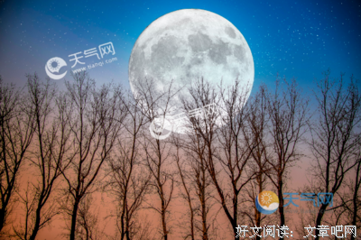 关于我心里，有个你的优美句子