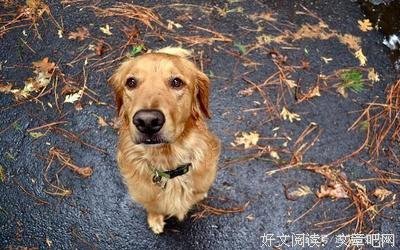 关于动情的优美句子