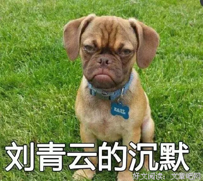《宽松世代又如何SP：纯米吟酿纯情篇》观后感精选