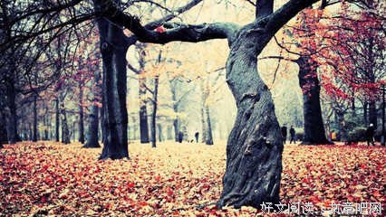 《孤狼之血》观后感摘抄