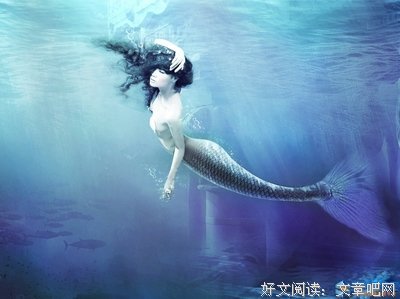 牺牲读后感锦集