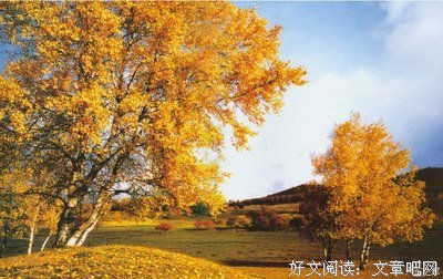 关于打抱不平的语句