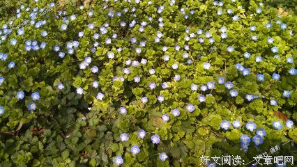自我陶醉的句子