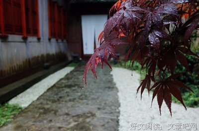 月薪五万的人，在吃上能有多作