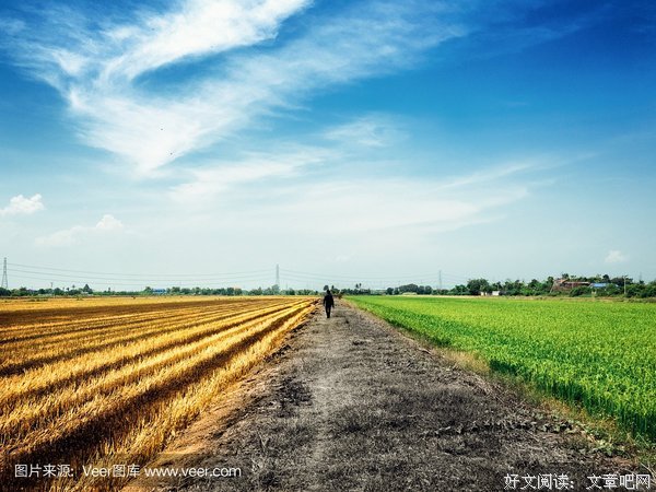 关于背道觉有才来驰的句子