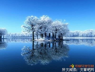 触心❤句子