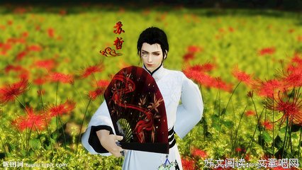 关于苏哲的优美句子