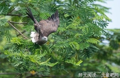 《情动心劫》的句子