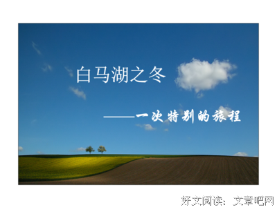 《马茹娜的非凡旅程》观后感100字
