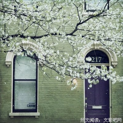 15条关于目光短浅的经典语句