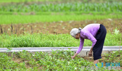 关于由来已久名言名句