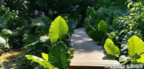 哀愁格言警句