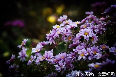 早读丨心路通了，走到哪儿都是风景