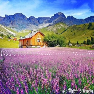生活，适合自己就好！