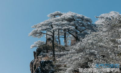 关于那甜甜的感觉的句子