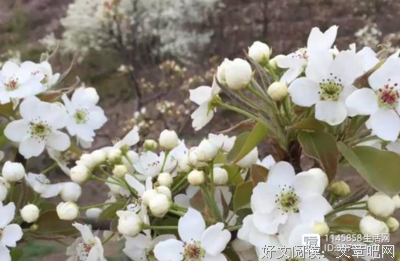 你不会想过夜吧