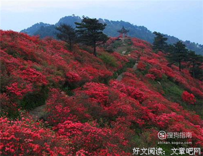 《雪峰传道》好段摘抄