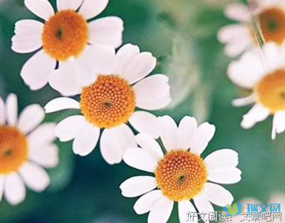 可道地比这就天要吧。姑娘好词好句