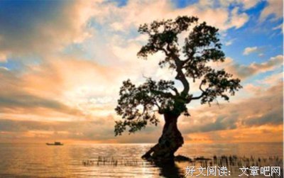 流年集名句欣赏