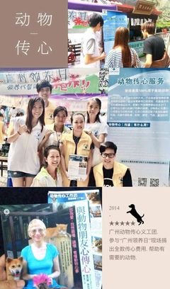 聆听 | 突然很想穿旗袍