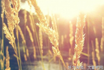 岁月悠悠的优美句子