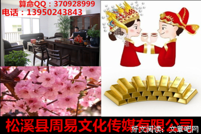 兔子先生的优美句子
