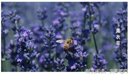 《三体》前传！通宵刷完后，真后悔没早点推荐！