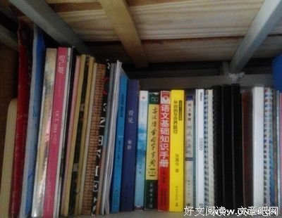 《博弈论究竟是什么》读后感摘抄