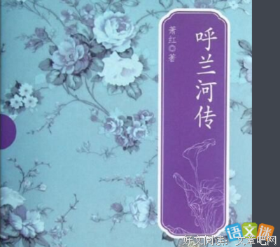 《一钩新月天如水：现代作家萧红的三维品鉴》读后感100字