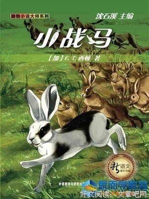 《战马》经典读后感有感