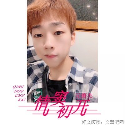 有关情窦灿烂的句子