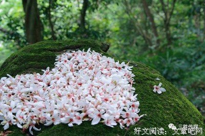 心亭名句欣赏