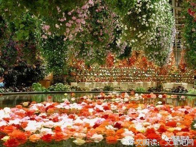 心的优美句子