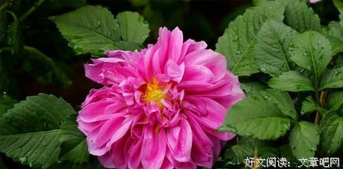 涩经典的句子