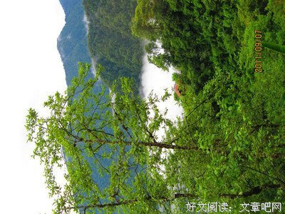 【说事】“统一”外的错落别致