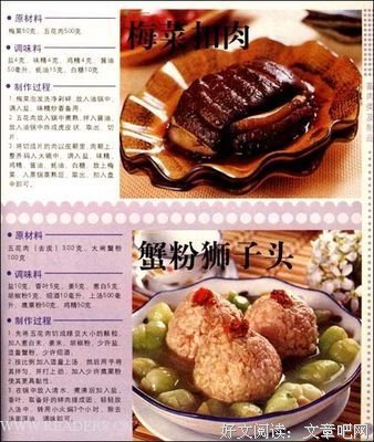 鱼就是鱼的读后感大全