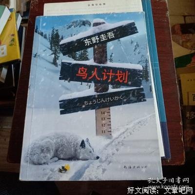 鸟人计划读后感100字