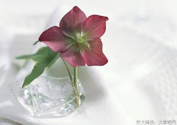 人生，活得越来越高级的5个迹象 