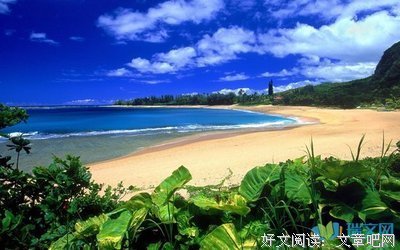 描写瘦骨嶙峋的语句摘抄