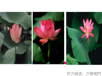 关于令人钦佩的语句