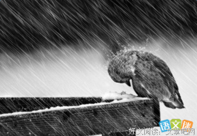 关于软弱无力的座右铭