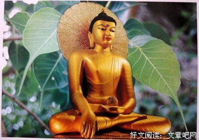 人迹罕至的名言_关于人迹罕至的名言