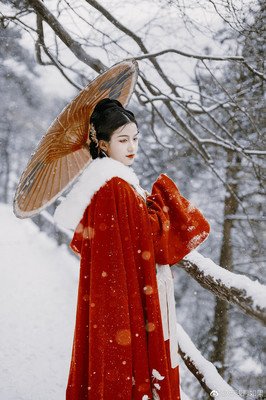 青丝暮雪句子大全