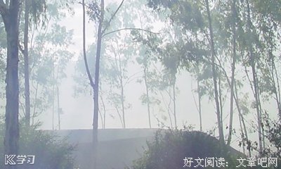 我的句集1优美的句子