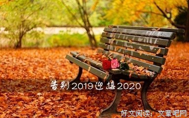心跳的优美句子